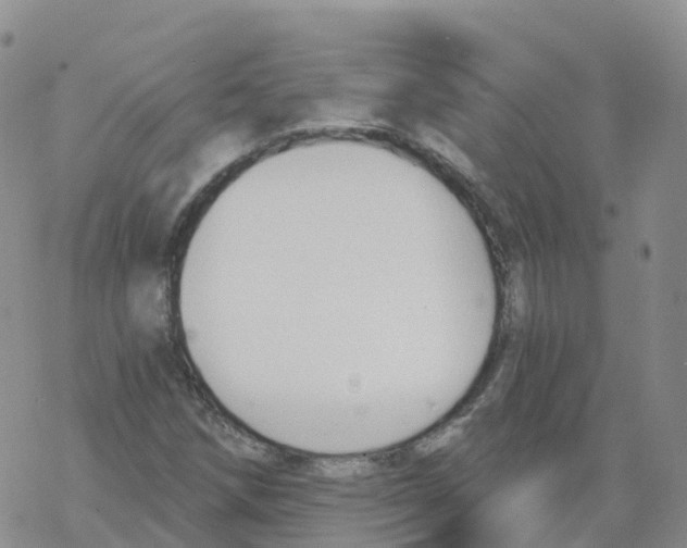 X0000068731258200605262017