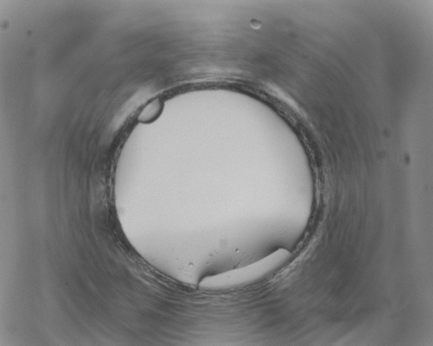 X0000068731259200605262017