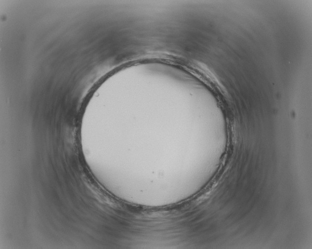 X0000068731260200605262017