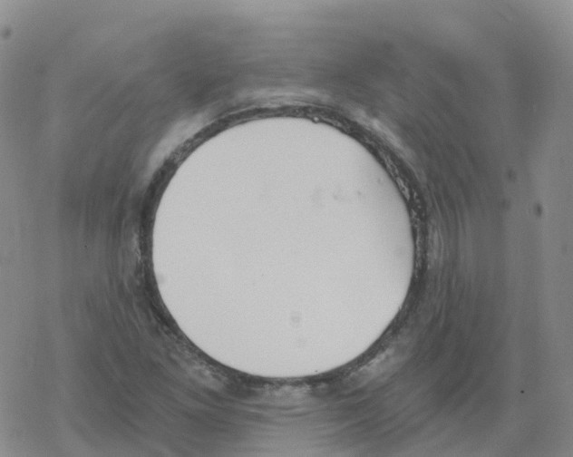 X0000068731261200605262017