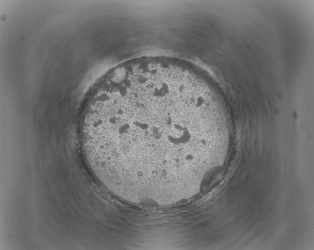 X0000068731263200605262017