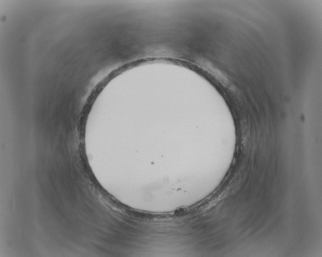 X0000068731264200605262017