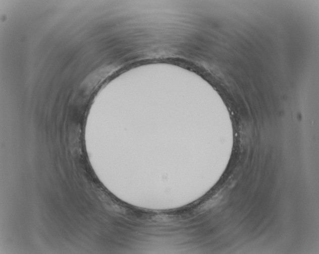 X0000068731265200605262017