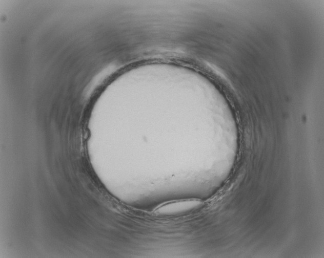 X0000068731267200605262017