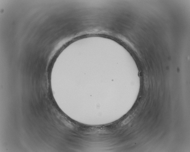 X0000068731270200605262017