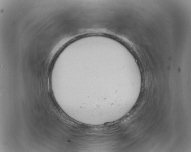 X0000068731271200605262017