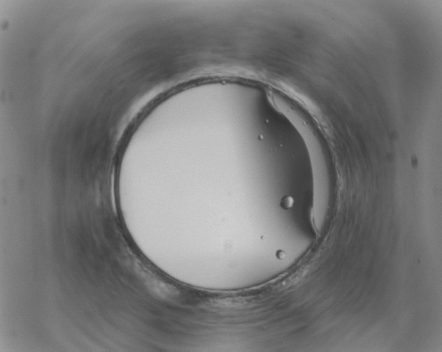 X0000068731272200605262016