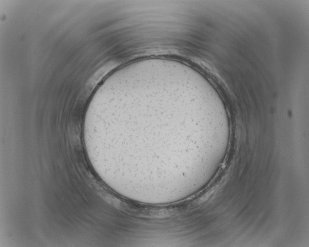 X0000068731273200605262016