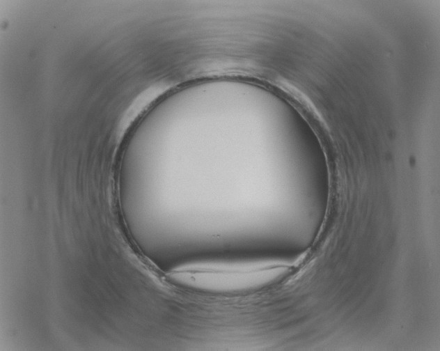 X0000068731277200605262016