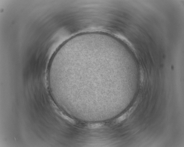 X0000068731278200605262016