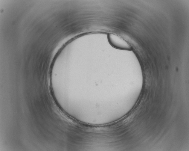 X0000068731280200605262016