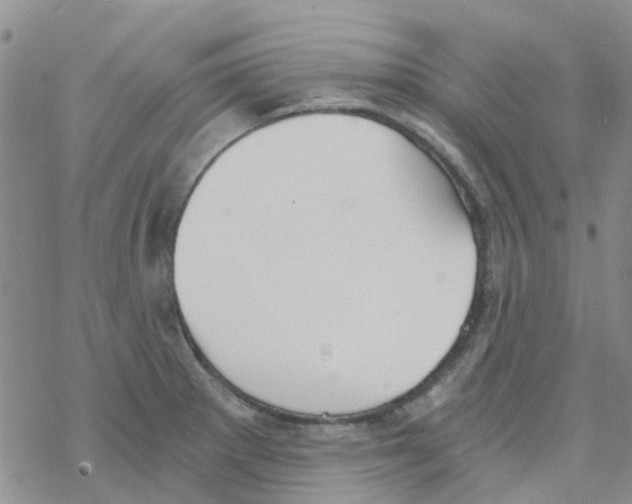 X0000068731281200605262016