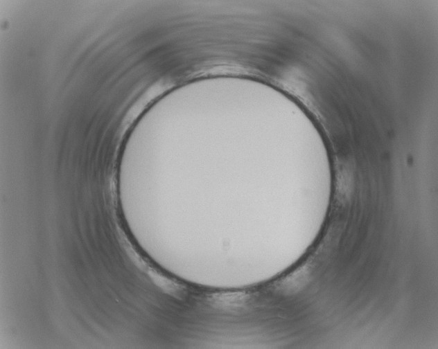 X0000068731282200605262016