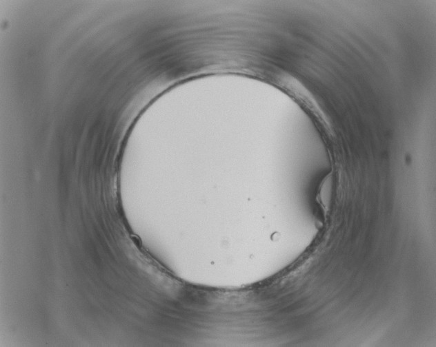 X0000068731284200605262016