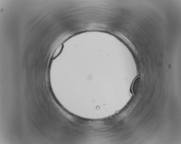 X0000068731285200605262016