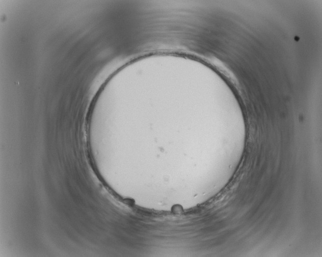 X0000068731287200605262016