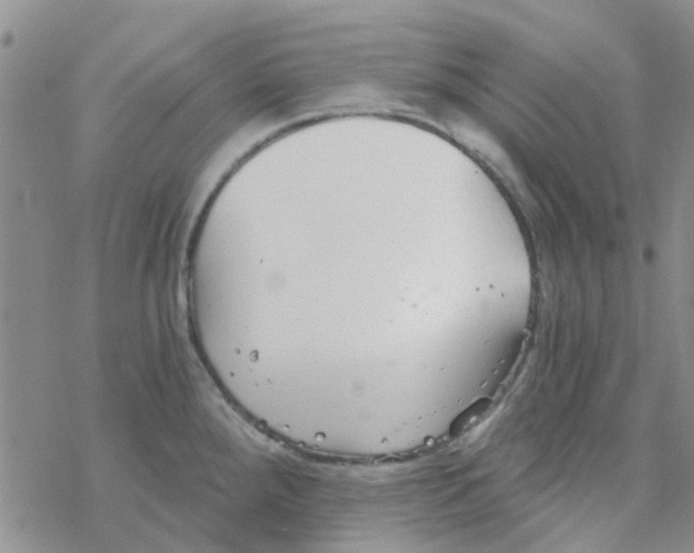 X0000068731288200605262016