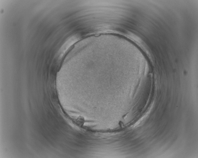 X0000068731289200605262016