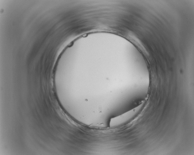 X0000068731292200605262016