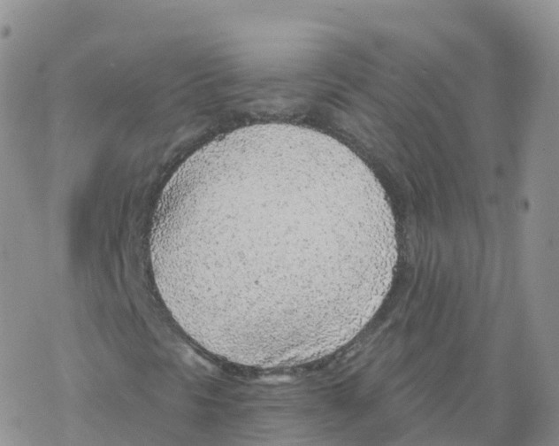 X0000068731297200605262015