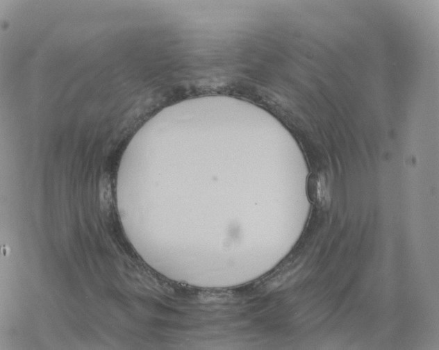 X0000068731299200605262015