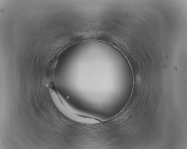 X0000068731300200605262015