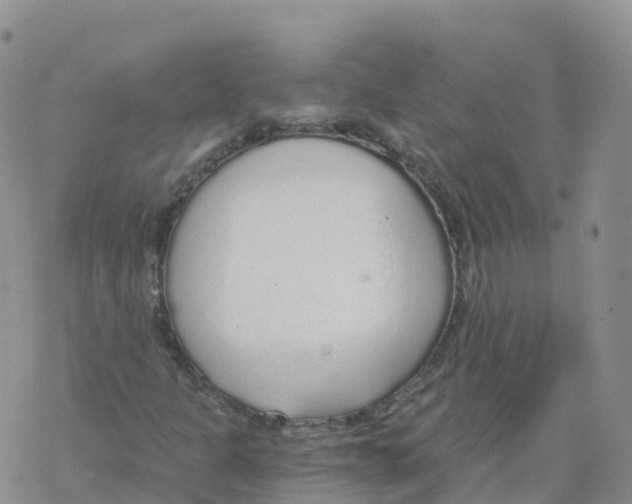 X0000068731301200605262015