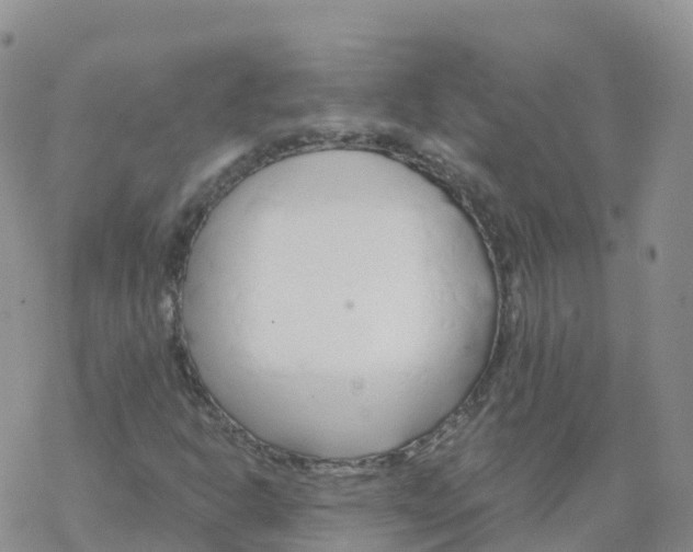 X0000068731302200605262015