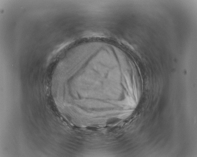 X0000068731303200605262015