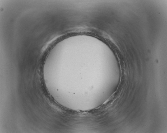 X0000068731304200605262015