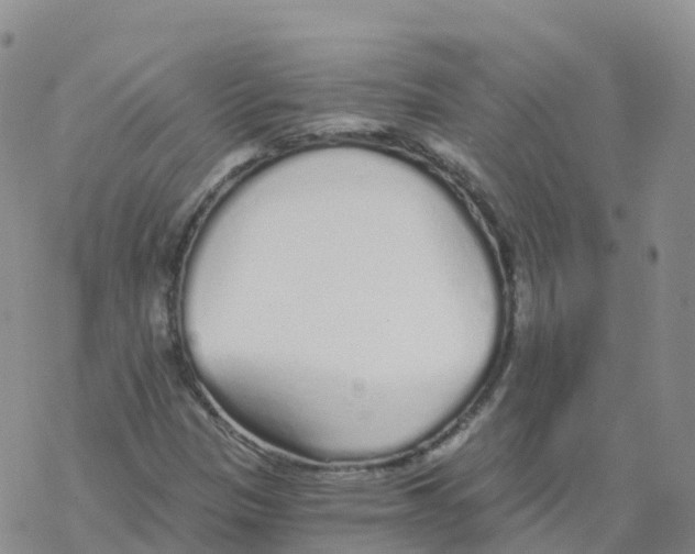 X0000068731305200605262015