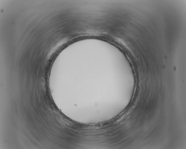 X0000068731307200605262015