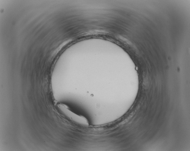 X0000068731313200605262016