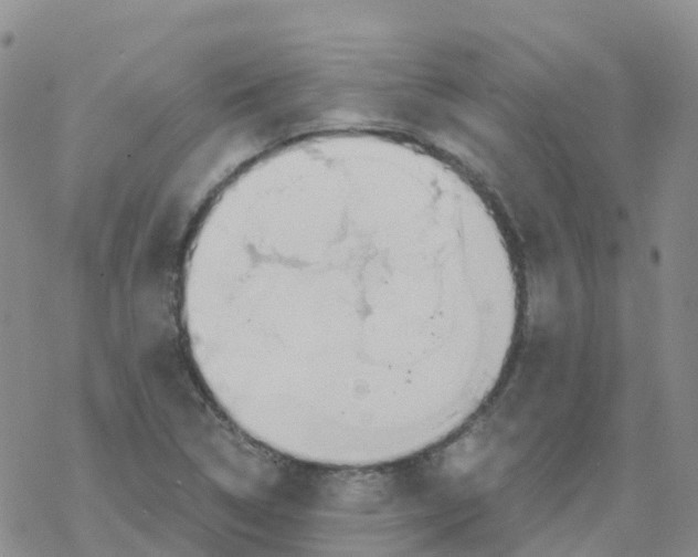 X0000068731314200605262016