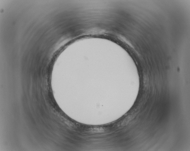 X0000068731315200605262016