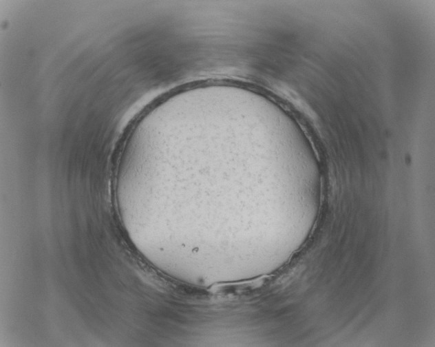 X0000068731316200605262016