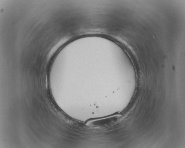 X0000068731317200605262016