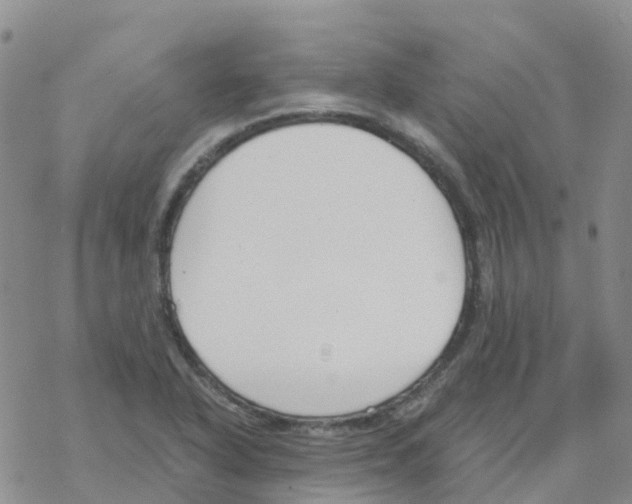 X0000068731318200605262016