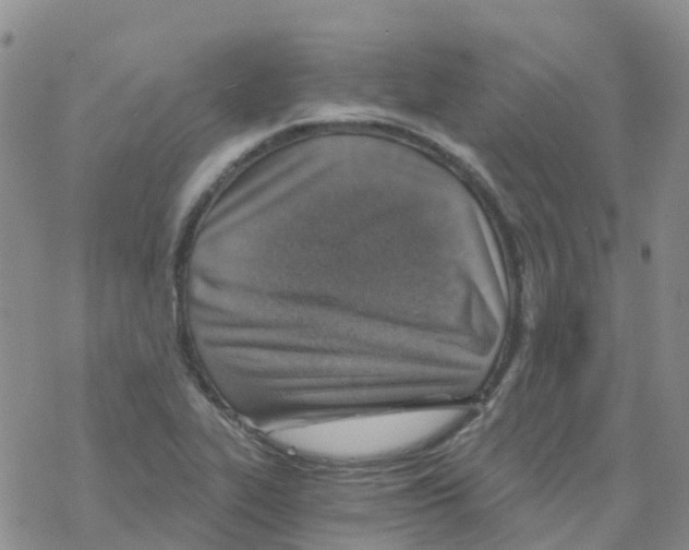 X0000068731319200605262016