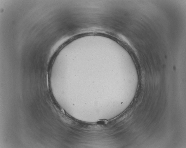 X0000068731320200605262016