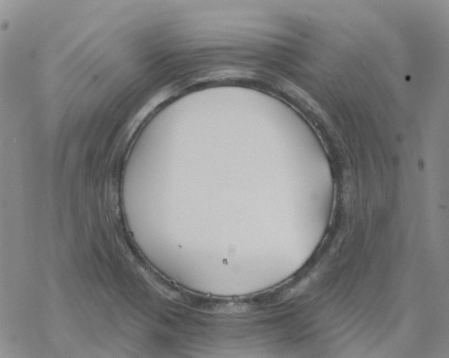 X0000068731321200605262016