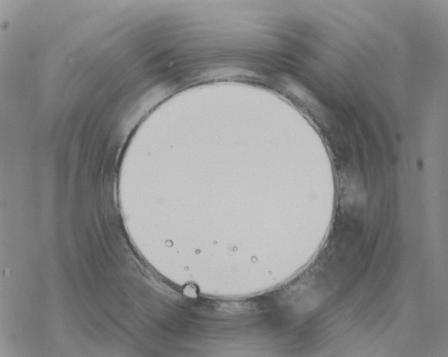 X0000068731322200605262016