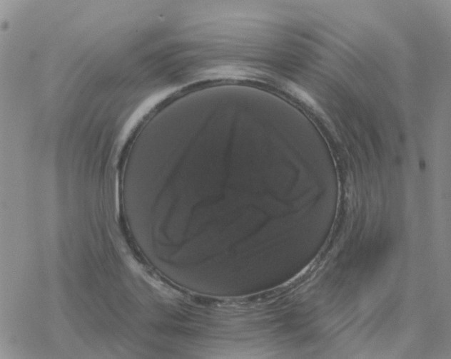 X0000068731323200605262016