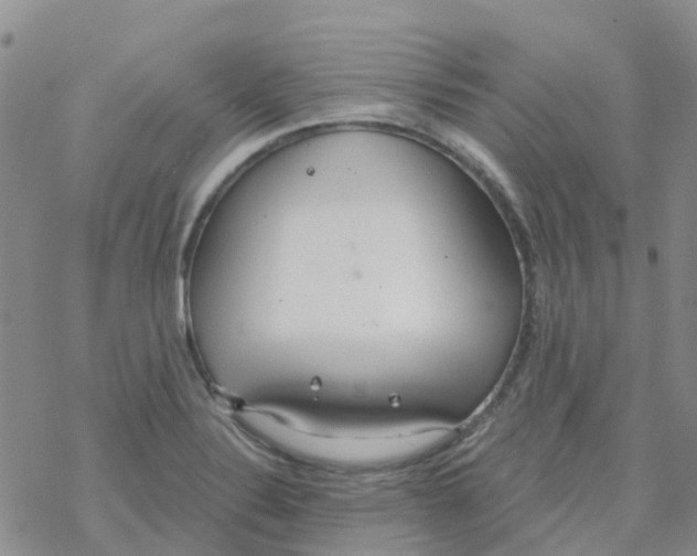 X0000068731324200605262016