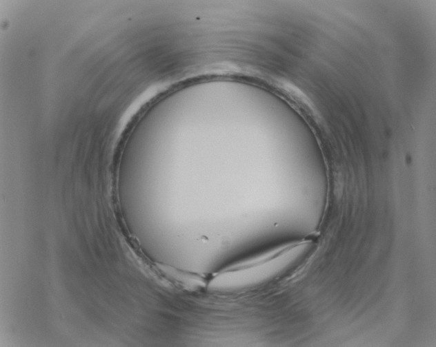 X0000068731326200605262016