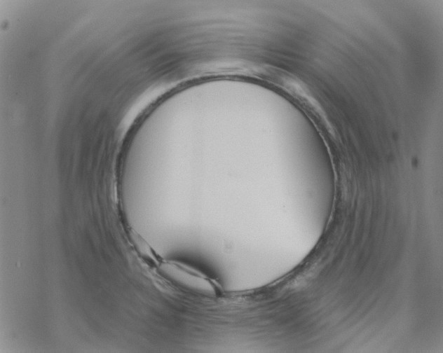 X0000068731328200605262016