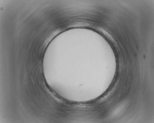 X0000068731329200605262016