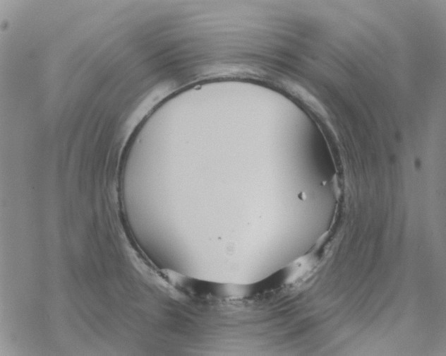 X0000068731330200605262016