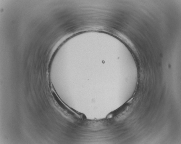 X0000068731332200605262016