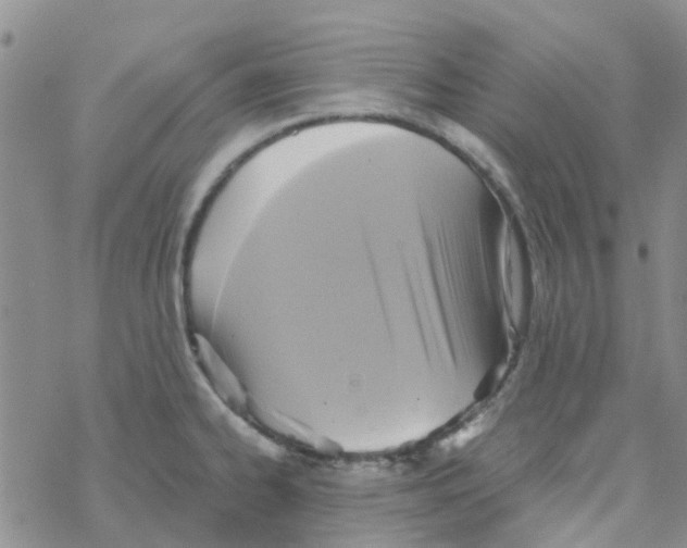 X0000068731334200605262016